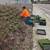 Landscape, Gardening Maintenance and Installation, irrigation 14 thumbnail