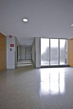 $2,550 / 1br - Brighton 1 Bed/1 Bath Apartment | Chiswick Rd (Brighton)64213549826946122