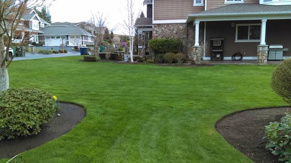 ZEPEDA'S LANDSCAPING 1