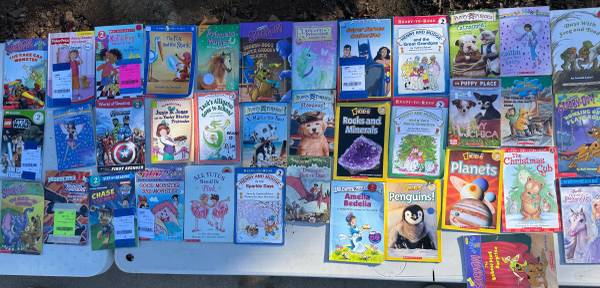 Level 2 Reading Level Books for Kids 1