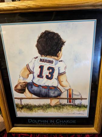 Dan Marino Dolphin In Charge Frame 1