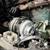 New Diesel engine turbos with 2-Year Warranty! Best Warranty in Indust 7 thumbnail
