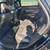 2016 CADILLAC XTS PREMIUM 9 thumbnail