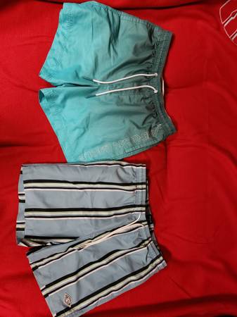 Muchos bañadores de marca para hombre (talla mediana) - $15 (Rice Lake)63471095303553120