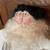 Santa Claus handmade 2 thumbnail