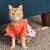 Orange tabby looking for good home 2 thumbnail
