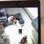 Chihuahua Puppies 3 thumbnail