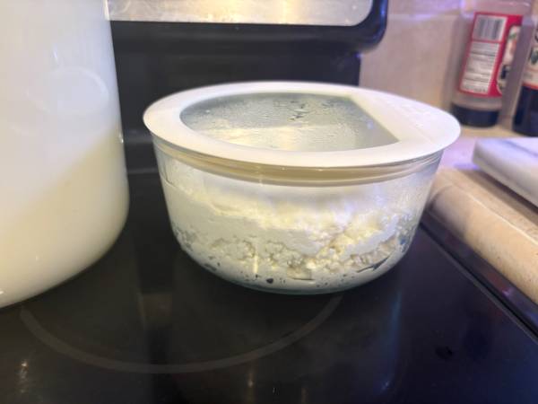 Raw goat milk/products and eggs- local delivery - $10 (Vacaville)63471043486339121