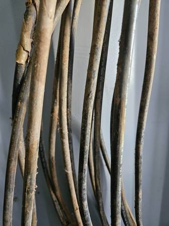 #2 AGW Wire - $100 (Lincoln)63440113948417122
