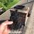 Chimney Sweep and Dryer Vent Cleaning 6 thumbnail