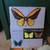 BOOK - "Beautiful Butterflies" - inc. 56 color plates, entomology 1 thumbnail