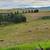 Grass hay, small bales Sunshine Road 2 thumbnail