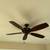 Ceiling Fans 2 thumbnail