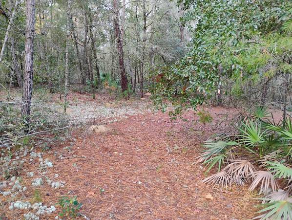 $7,500 / 9583ft2 - Nice Buildable vacant lot No Wetlands easy access (Interlachen)63823025922947123