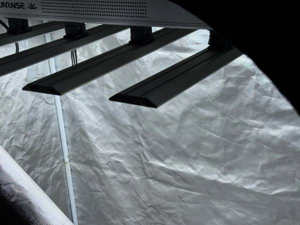 Tienda de Cultivo Interior / Microcultivos Llave en Mano / Plazo Mínimo de 3 Meses - $750 (Detroit)62960752468483121