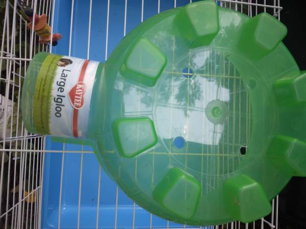 Pet igloo 1