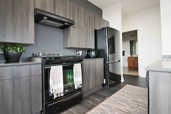 $2,740 / 2br - South Loop 2 bedroom 2 bath In Unit W/D, Gym, Pool, Balcony, Hot tub (South Loop)63898599139331123