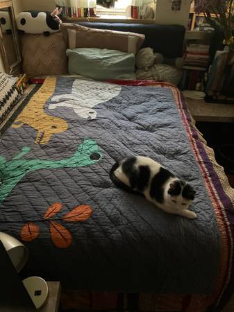 Full sized mattress available 1