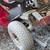Mobility Scooter 3 thumbnail