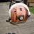 Stihl Backpack Blower model BR550 2 thumbnail