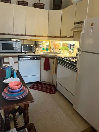 $1,550 / 2br - 100ft2 - CHARMING APARTMENT SHARE (Upper East Side)64033801280386121