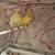 2 pair canaries no cage 4 thumbnail