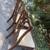 Carved Chippendale style chairs 6 thumbnail
