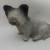 Skye Terrier DF45 1 thumbnail