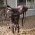 Western Saddle 16" 4 thumbnail