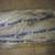 NEW DRIVER SIDE POWER WINDOW ELECTRIC MOTOR 4 thumbnail