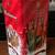 2006 Anheuser - Busch Budweiser Limited Edition Tin and 4 coasters 4 thumbnail