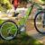 Burley Piccolo Trailer Bike Trailercycle (MOOSE RACK NOT INCLUDED) 9 thumbnail