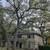 Tree Service • Trimming • Removal • Tree Care • Tree Cutting 5 thumbnail