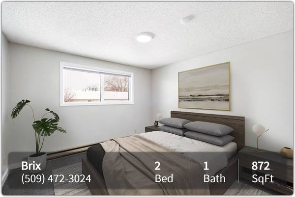 $1,450 / 2br - 872ft2 - 2 bed 1 bath ready to view now! Visit our community today! (Walla Walla)63787059245185121