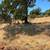 30 Acres Beautiful valley view 17 thumbnail
