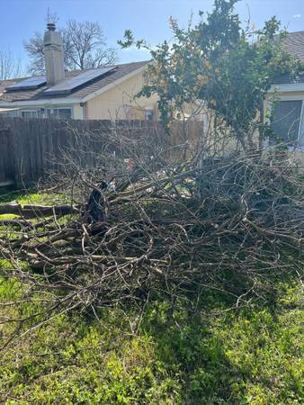Garden waste taker 1