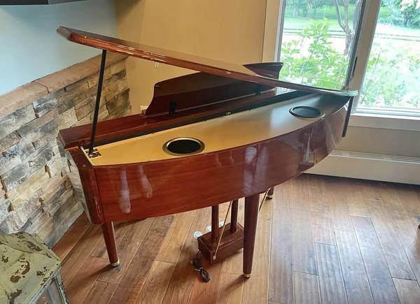 Piano Suzuki MDG-300 Open Box 1