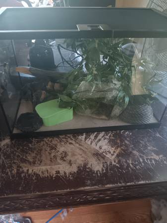 Pequeño tanque para reptiles (Derry)63656332161281120