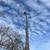 K2 Tree service/ Logging 18 thumbnail