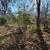 3 Acres For Sale! 11 thumbnail