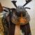 Japanese Samurai armor with storage box 5 thumbnail