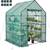 Greenhouse, Walk-in 1 thumbnail