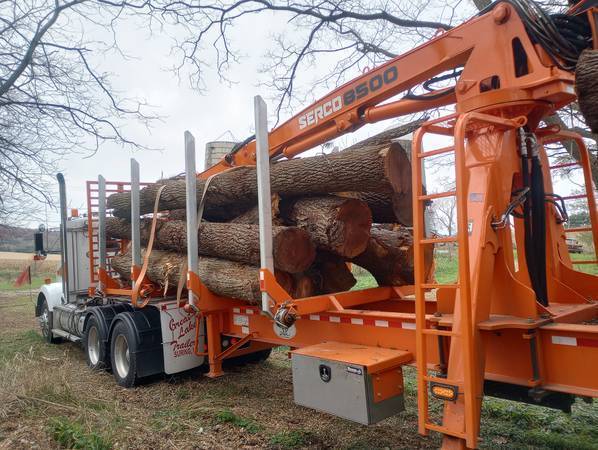 Free Dumpsite: Logs, Trees, Wood chips, etc. 1