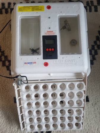 Little giant incubator with turner 1