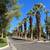Furnished Hollywood Regency in the Desert! 23 thumbnail