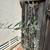Olive Tree Arbequina, Very healthy and 6 feet tall 3 thumbnail