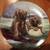 Three collector Wall Plates 3 thumbnail