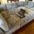 Arvill 8 - Piece Corduroy Sectional 4 thumbnail