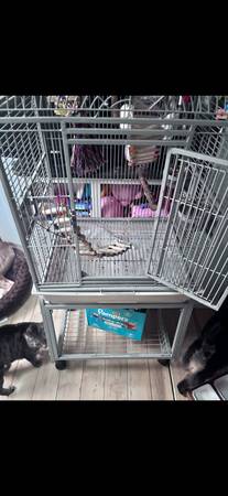 Bird cages for sale63429171582851121
