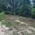 .23 Acre Lot near Palatka and St John's River only $4,499 1 thumbnail